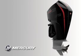 FourStroke V6 175 HP PRO XS