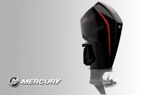 FourStroke V8 200 HP PRO XS