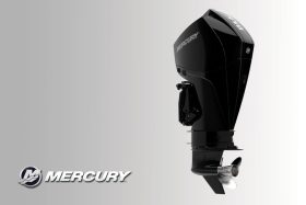 FourStroke 225 HP V6