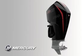 FourStroke V8 250 HP PRO XS